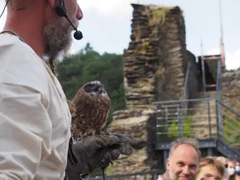 Birds of prey show at Chateau de La Roche-en-Ardenne (Belgium)